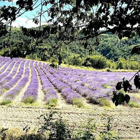 New! Langhe Liguri - Valbormida - Entire Flat * Piana Crixia