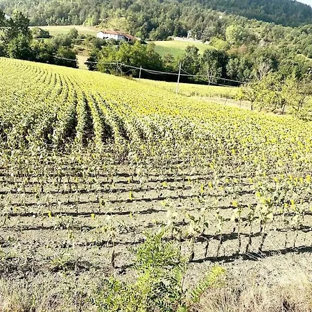 Apartment New! Langhe Liguri - Valbormida - Entire Flat